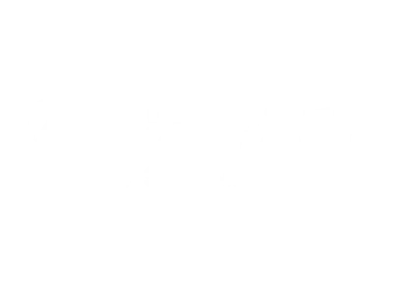 凌界天行Logo